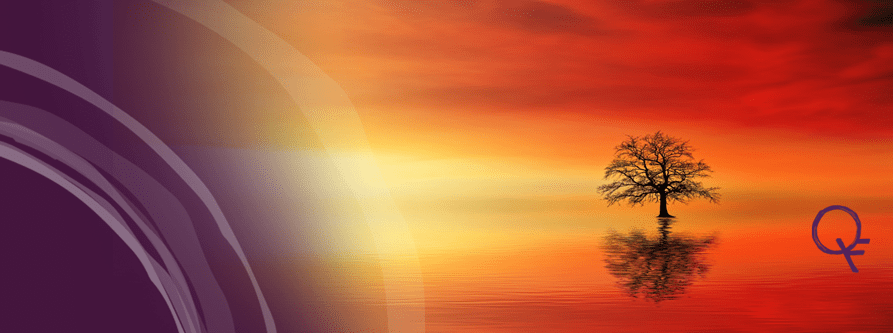 Header sunset boom